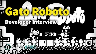 Gato Roboto - Developer Interview