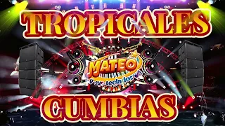 🕺CUMBIAS TROPICALES MIX PARA BAILAR 2023 2024🌟LA ABEJA MIOPE, LA VECINITA, JAMBALAYA🌵CUMBIAS POPURRI