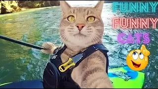 2 HOUR BEST FUNNY CATS COMPILATION 2023 😂| The Best Funny And Cute Cat Videos 26 !😸 😸