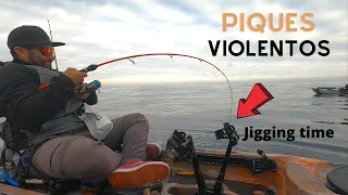 Pudo ser  mi mejor dia de jigging... pero.....(piques brutales)