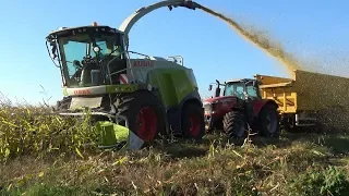 Loonbedrijf Reimink aan het mais hakselen met Claas Jaguar 950 DP en Massey Ferguson 7624 (2018)