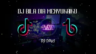 VIRAL TIKTOK! DJ BILA DIA MENYUKAIKU - Ku kira dia mencintaiku🎵REMIX TERBARU 2021[DJ OPUS]