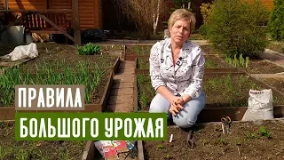 КЛУБНИКА ВЕСНОЙ 🍓 Основные правила ухода / Садовый гид