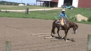 Ranch  Riding Pattern 7 Diane Weaver