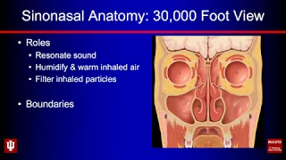 Sinonasal Anatomy