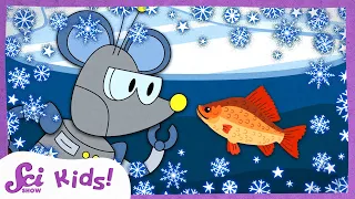 Why Don’t Fish Freeze in Winter? | Winter is Alive! | SciShow Kids