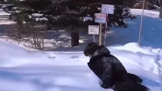 jeno jumping into snow