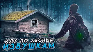 УХОЖУ В ЛЕСНОЙ ДОМ, НОЧУЮ В ЛЕСУ, ИДУ В ГОРЫ