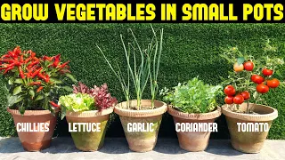 Vegetables You Can Grow In Small Pots | Small Space Gardening