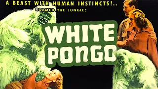 White Pongo (1945) Adventure, Comedy Full Length Movie