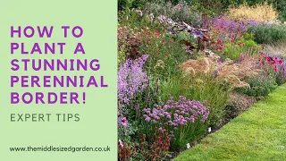 Create an outstanding perennial border - how to choose and combine plants