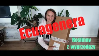 🙂Unboxing🌿letnia wyprzedaż czyli zamawiam w ecuagenera🌿