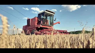 Żniwa 2020 | Zwiastun 4K | Płock Agriculture