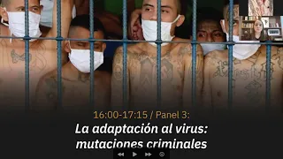 Adjusting to the Virus: Criminal Mutation / III International Conference on Organized Crime