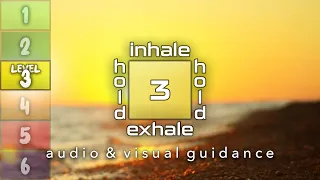 Guided Box Breathing With Audio And Visual Cues | Level 3 | Square Breathing