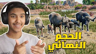 انيمليا سيرفايفل #20 : واخيرا وصلت الحجم النهائي بالثور😳🔥 | Animalia Survival