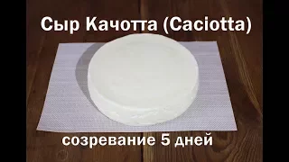 Сыр Качотта (Caciotta). Полный рецепт приготовления итальянского сыра, без длительного созревания!