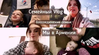 ПЕРЕЕЗД В ЕРЕВАН | СТРИГУ ЧЕЛКУ ШТОРКУ | СЕМЕЙНЫЙ VLOG | АРМЕНИЯ 🇦🇲