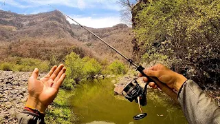 Pescando Río SECRETO en Jalisco | Explorando Barranca!