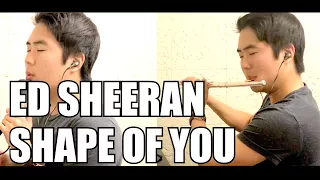 Shape of You - Ed Sheeran Flute Cover