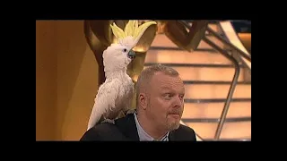 Dieser Kakadu hat´s drauf! - TV total