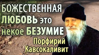 Божественная Любовь есть некое безумие. Порфирий Кавсокаливит