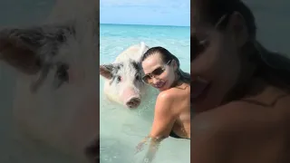 (Wild) Pig Island MODEL GETS BIT