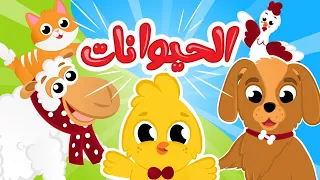 باص الحيوانات _ يا غنماتي _ النافورة السحرية |   و المزيد من أغاني الحيوانات الممتعة من قناة سمسم