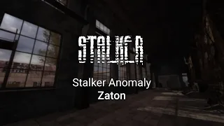 Stalker - Call Of Pripyat Ambience -  Zaton - Gaming Ambience - ASMR - Wind sounds - Crow sounds