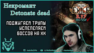 Некромант подрыв трупа 3.17 || Мощный билд для фарма Path of exile Archnemesis