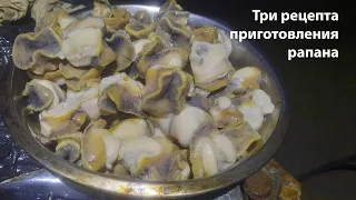 #proкухня Рапан три рецепта приготовления. Азово-черноморская кухня. Рецепт приготовления рапана.