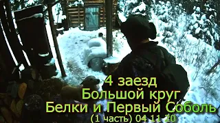 4 заезд Большой круг Белки и Первый Соболь (1 часть) 04 11 20