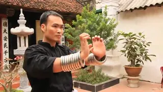 Вьетнамское кунг-фу.Тренировка с кольцами.Vietnam KUNG FU