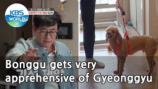 Bonggu gets very apprehensive of Gyeonggyu (Dogs are incredible) | KBS WORLD TV 210512