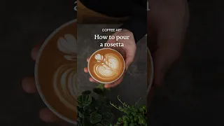 How to pour a Rosetta