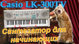 Синтезатор с подсветкой клавиш для начинающих Сasio LK-300TV. 3-х ступенчатая система обучения.