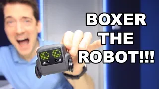 BOXER ROBOT UNBOXING AND REVIEW!