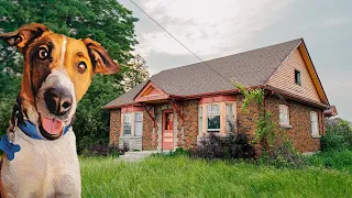 Exploring a Dog Groomer's DEVASTATING Abandoned Farmhouse l They Had To Leave Everything Behind...