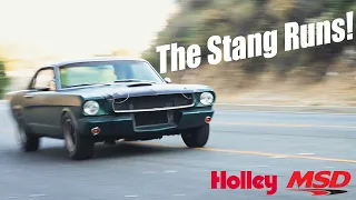 My 1965 Mustang Loves the New Holley Carburetor!