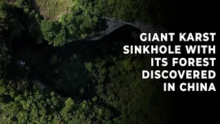Giant karst sinkhole with its forest discovered in China