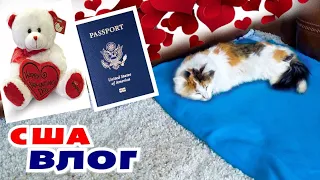 Котя после операции/ Как получить паспорт в США / Шоппинг к Валентинову Дню / Что с вакцинацией в US