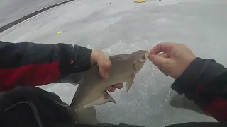 Рыбалка на Белоярском водохранилище. Гороховое, на девяти метрах.