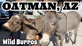 OATMAN ARIZONA - The GHOST TOWN that refuses to DIE! | 8 FUN Things To Do in Oatman | VEGAS DAYTRIP