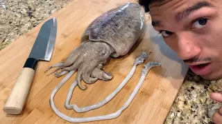 Cleaning And Eating The Mysterious Cuttlefish【Delicious】