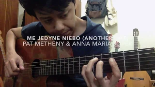 Me jedyne niebo (Another Life) - Pat Metheny & Anna Maria Jopek Cover