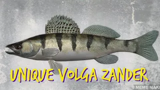 Fishing Planet - Unique Volga Zander - Akhtuba River ✴️ APRIL 2023 ✴️