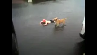 Justin bieber swimming with his dog 😍