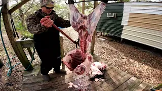 How to Clean and Quarter a Wild Hog (Tricks You Won't See Anywhere Else)