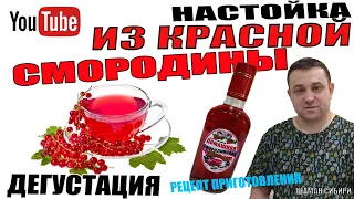 Настойка из красной смородины! Отличный рецепт приготовления! Дегустация!