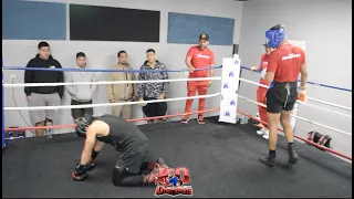 Benavidez Camp Sparring Wars! Diego Pacheco drops sparring partner w bodyshot!